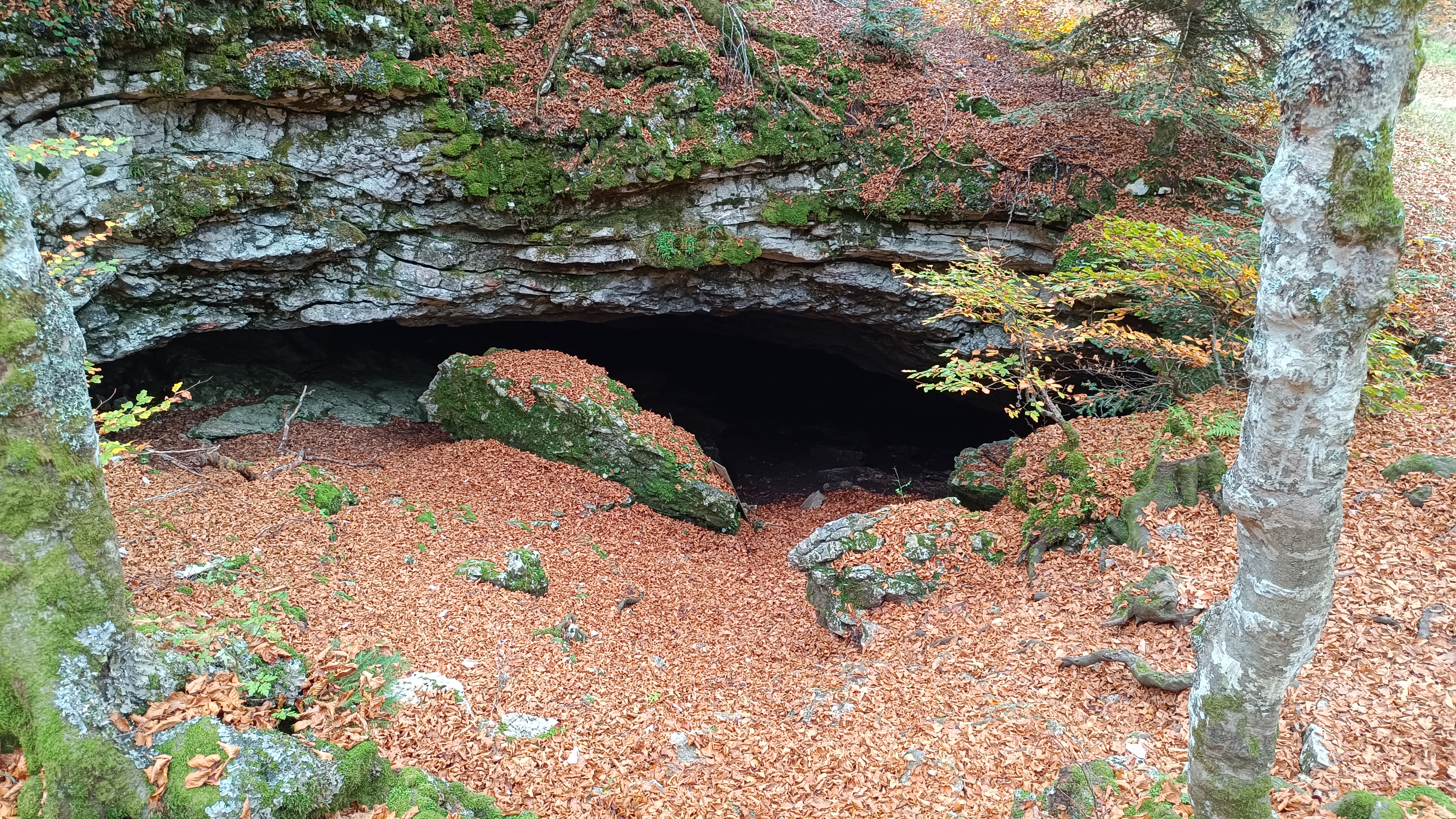 Entrée de la Grotte de la Ture